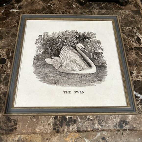NWT Vintage Swan Print Art Nursery Decor Bird Etching Farmhouse Cottagecore - Picture 4 of 10